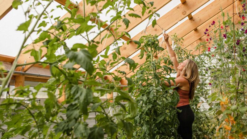 Passive Solar Greenhouse White Paper