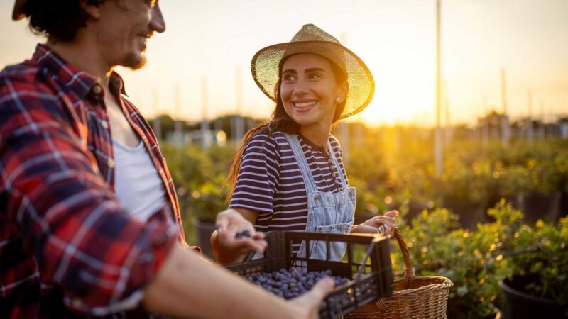Regenerative Solutions: Social Benefits