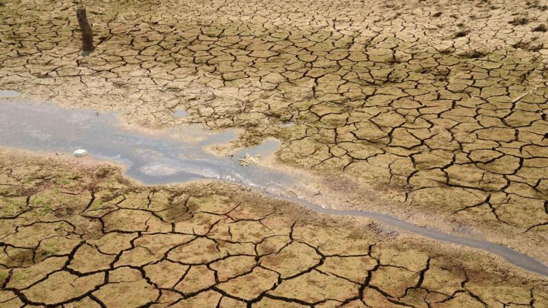 Regenerative Solutions Help Protect Homes from Extreme Weather
