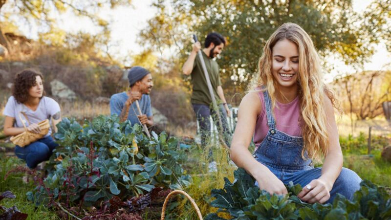 How to Choose the Right Plant Communities for Your Food Forest